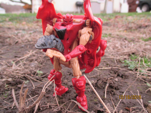 austinstoyblog:	4 photos by austin hinton   