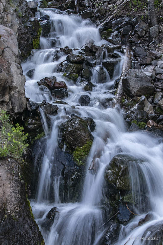 Spillover: (c) riverwindphotography, July, 2020