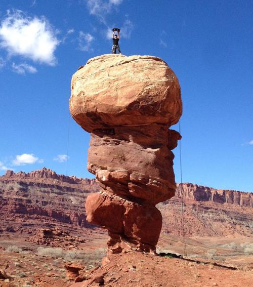 catsbeaversandducks:  My Adopted Cat Is The Best Climbing Partner Ever Most pet cats will become timid or defensive when outdoors, but not Millie – after being adopted by her mountain-climbing owner Craig Armstrong, Millie has become a feline hiking