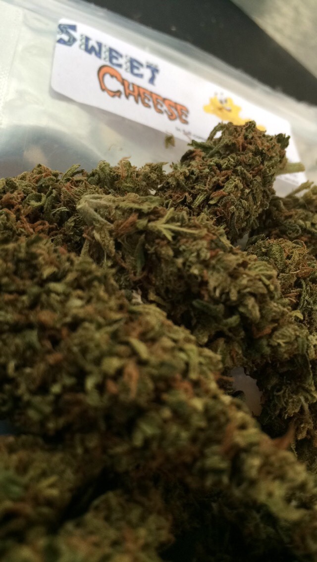 notoriouskush420:  Sweet cheese. Hybrid Sativa dominate 60/40☺️
