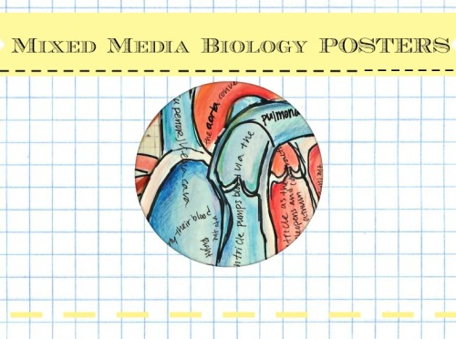 saelifeworks:  This project started out as a way to multitask between my Bio courses and Art project