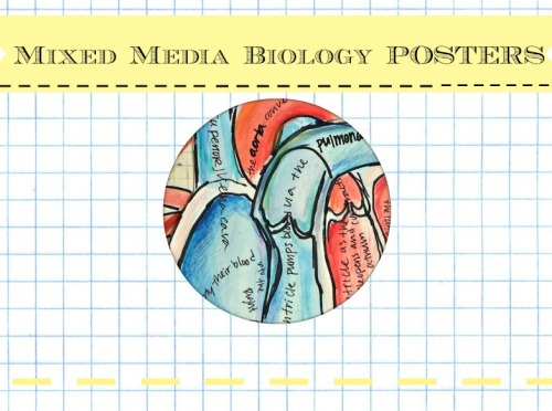 saelifeworks:This project started out as a way to multitask between my Bio courses and Art project