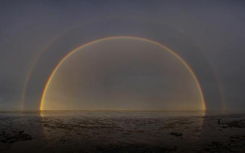 virtuallyinsane:Rainbow by Zoltan Tasi