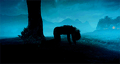 aoife1108:  An Unexpected Journey | The Desolation of Smaug ↳ Colours 