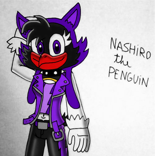 Nashiro The Penguin