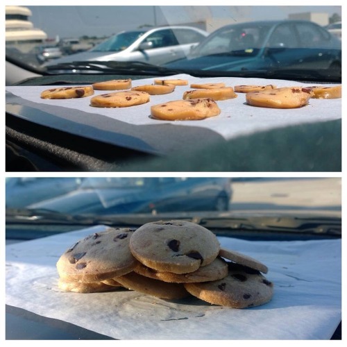 kirihina:okay-ibelieveyou:beeeds:So my cousin actually baked fucking cookies in her car while at wor