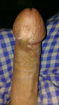 blowout80:  What a lovely lookin cock hard and ready to be sat on!!