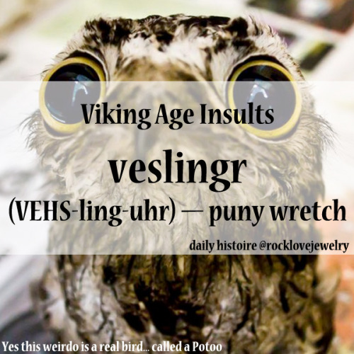 fuckyeahvikingsandcelts:rocklovejewelry:Viking Age InsultsMore @facebook.com/rocklovefanpageMore on 