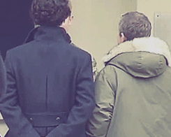 sophiethecookie:  just look at this tiny glance… I love them :D