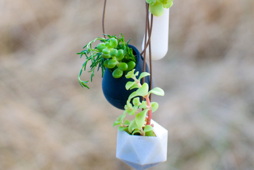 nybg:  mentalflossr:  Carry a Tiny Garden Around Your Neck With 3D Printing  Keep your plants close to your heart! ~LM