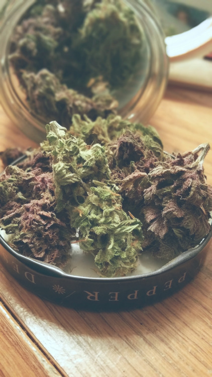 http://blowmelikekushhh.tumblr.com/post/131197541819