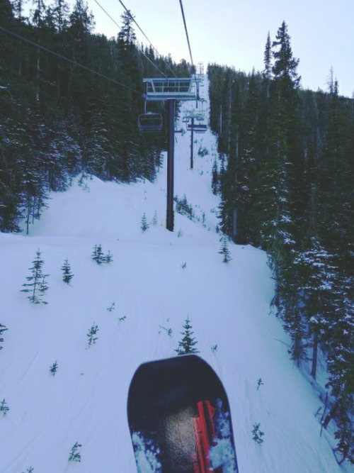 Got 6" of pow.Cole Creek Quad opened.Boarded my double blacks.Damn good day.