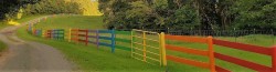 dirtshrines:The cute rainbow fence at Rikki’s Refuge, a 450 acre no kill, all species, peaceful animal sanctuary in Virginia.