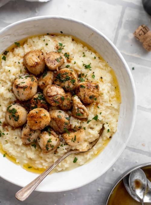savorytoothgirl:Herb Brown Butter Scallops with Champagne Risotto 