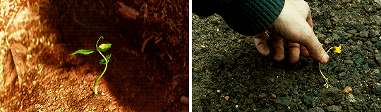 joewright:   WALL·E (2008) — visual consultant: Roger DeakinsBlade Runner 2049