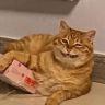 cadburycreampie:(Threat)