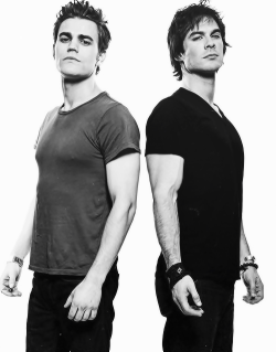 kitkatkio:  Stefan &amp; Damon. Yumm. 