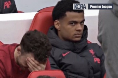 Seeing How Rm Fans Are Talking About Trent Vs How Our Own Fans Have Been Talking About Him Since His