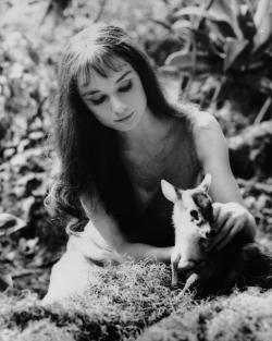 theniftyfifties:Audrey Hepburn with her pet