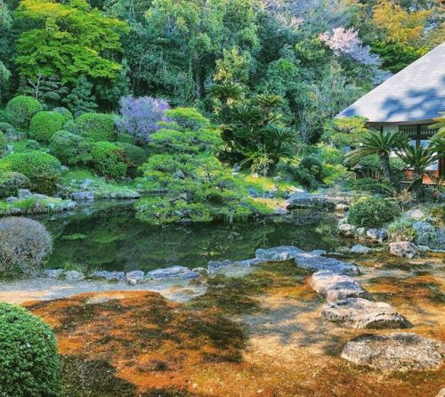 ＼おにわさん更新情報／ ‪[ 静岡県湖西市 ] 本興寺庭園 Honko-ji Temple Garden, Kosai, Shizuoka の写真・記事を更新しました。 ―― #北原白秋 も愛した、#