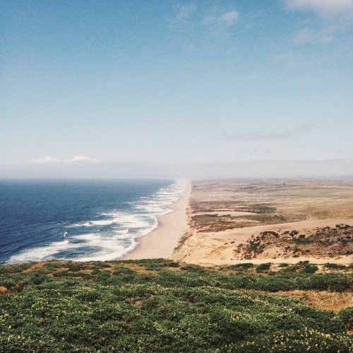 danielodowd:  http://jannafel.vsco.co/