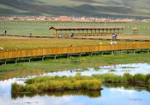 Photos : Paysage d'une zone humide dans le Gansu - LIRE : http://www.chine-informations.com/actualite/photos-paysage-une-zone-humide-dans-le-gansu_69741.html