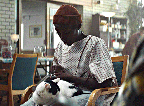 LUPITA NYONG'O As SAM (featuring Some Frodo)A QUIET PLACE: DAY ONE (2024) Dir. Michael Sarnoski