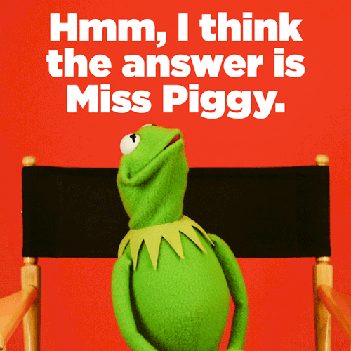buzzfeed:buzzfeedrewind:Burning questions, answered by Kermit the Frog.I saved that last GIF so fast I think I broke my 