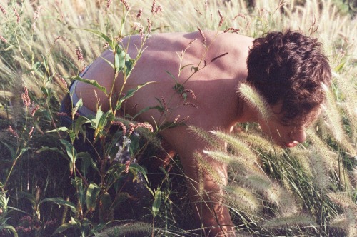 publicfruit:copyright publicfruit 2013