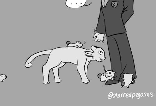 starredpegasus: Ever since I first saw Meowzie I thought of this.