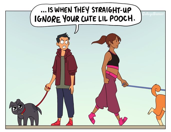 pr1nceshawn:  The Worst Part About Owning A Dog.