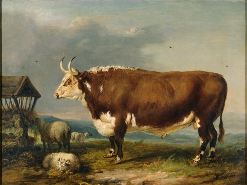 James Ward, Bull and Sheep in a Haystack, 19th century. Oil on canvas. Source