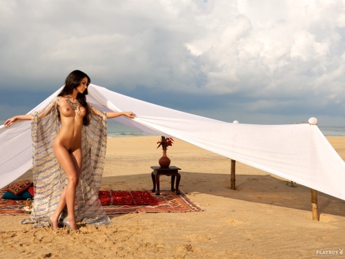 amazing-pubes:  An absolutely perfect landing strip on an absolutely perfect woman, Sila Sahin. 