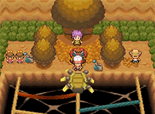 luxi0s:  Pokemon SoulSilver // Johto Gyms 