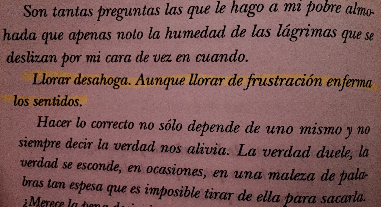notodoestanfacil:  Otro que me encanta 💗 -Tengo un secreto El diario de meri-
