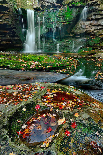 Elakala Autumn by Rajesh Bhattacharjee on Flickr.Taken in blackwaterfalls state park, West Virginia