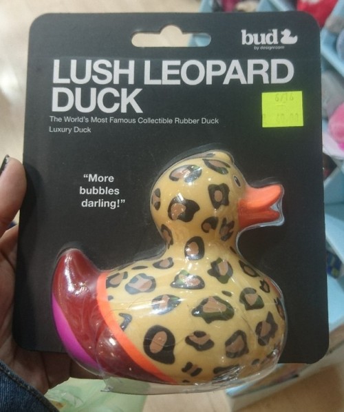 ure-gonna-loveme-when-u-seeme:cupcakevan:I swear to god I read that in freddie’s voice