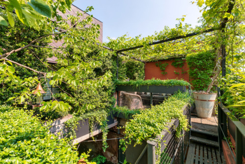 thenordroom:A plant lover’s industrial penthouse loft in Manhattan | more here