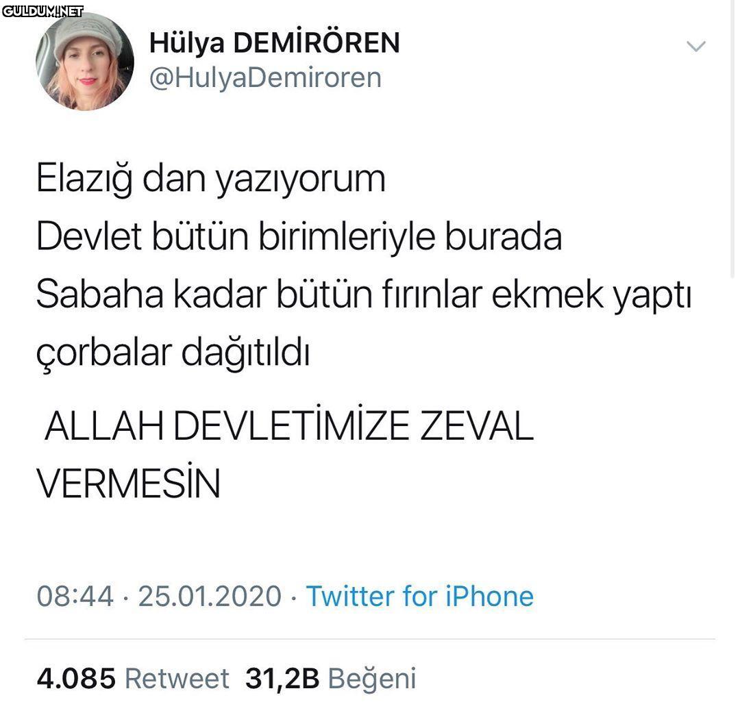 Hülya DEMİRÖREN...