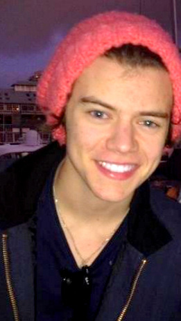 larrygang-ordie:  stopithazza:  Harry Styles Beanie Appreciation (part one)   his bear one tho omg 