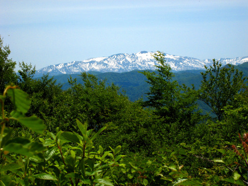 富士写ヶ岳（ふじしゃがたけ、Mt.Fujishagatake、標高941m）20140524頂上からの白山眺望（富士写ヶ岳頂上の標識のすぐ上に白山が見えます。）、頂上の標識、頂上の風景、不惑新道（火燈