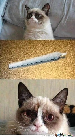 hashcompany:  follow me, support marijuana!
