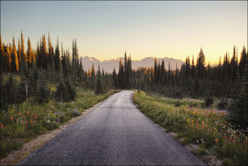 leebarguss:  On the Road // Pt. 5 (by Renaud JULIAN) 