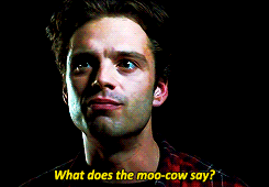 Oh my Sebastian Stan