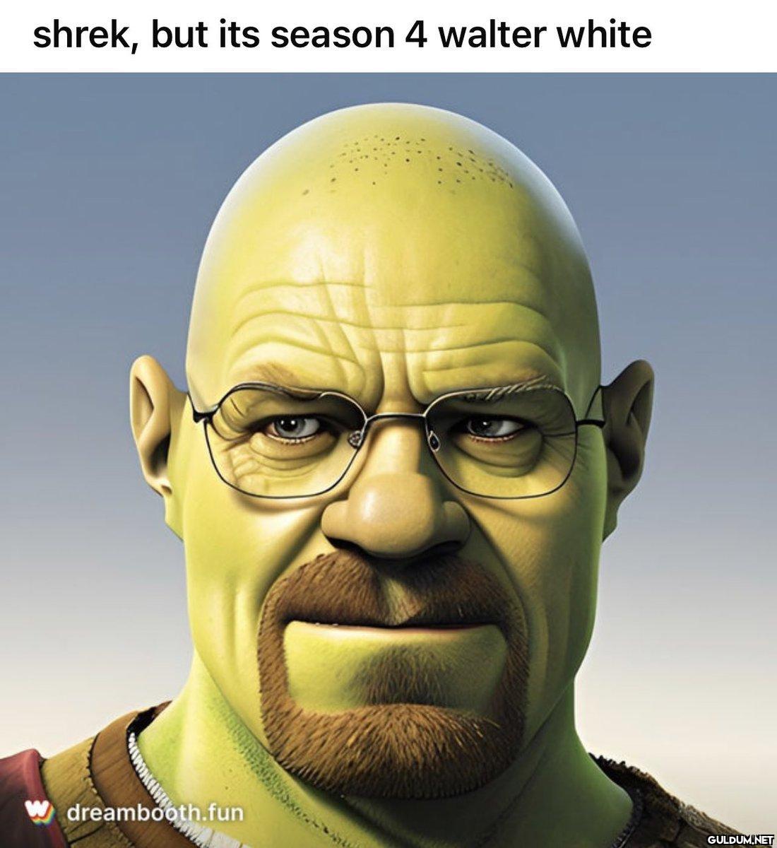 shrek, but its season 4...