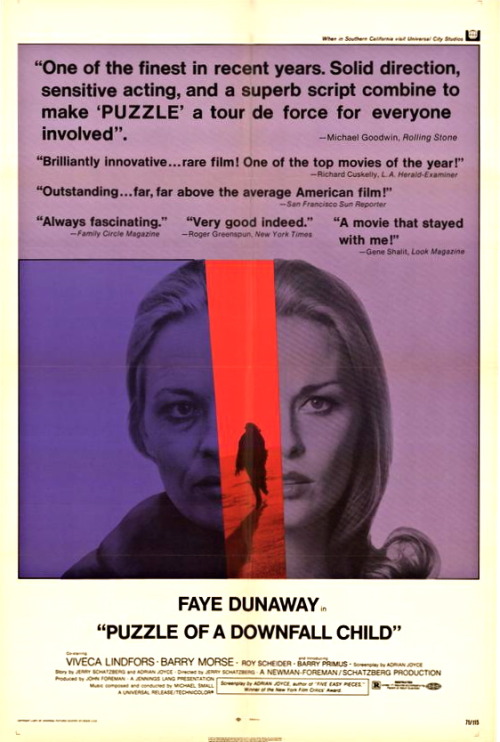 Puzzle of a downfall child1970Director Jerry Schatzberg