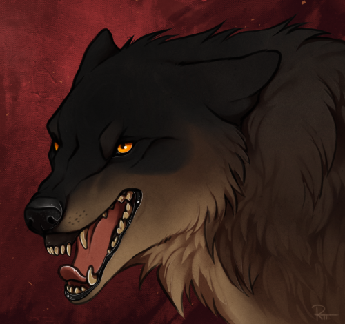 Offering some snarly wolf YCHs on Wolvden because I’m a child….