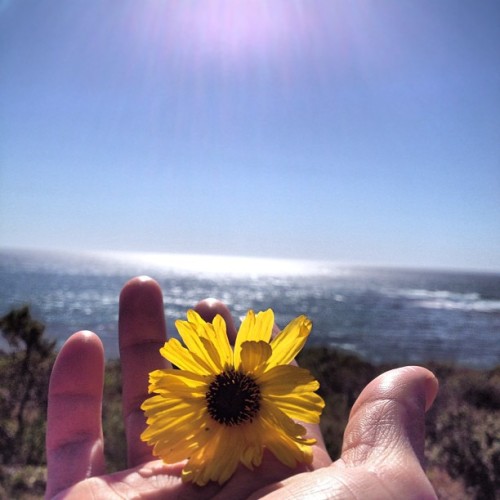 Because only you can set me free…