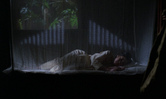 12h51mn:favorite films featuring a scene with a mosquito netThe Terrorizers (1986), dir. Edward YangCemetery of Splendour, dir. Apichatpong Weerasethakul (2015)Uncle Boonmee Who Can Recall His Past Lives, dir. Apichatpong Weerasethakul (2010)A Summer