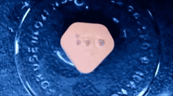 blunt-science:  Time-Lapse Revealing the Intricacies of Different Release Mechanisms